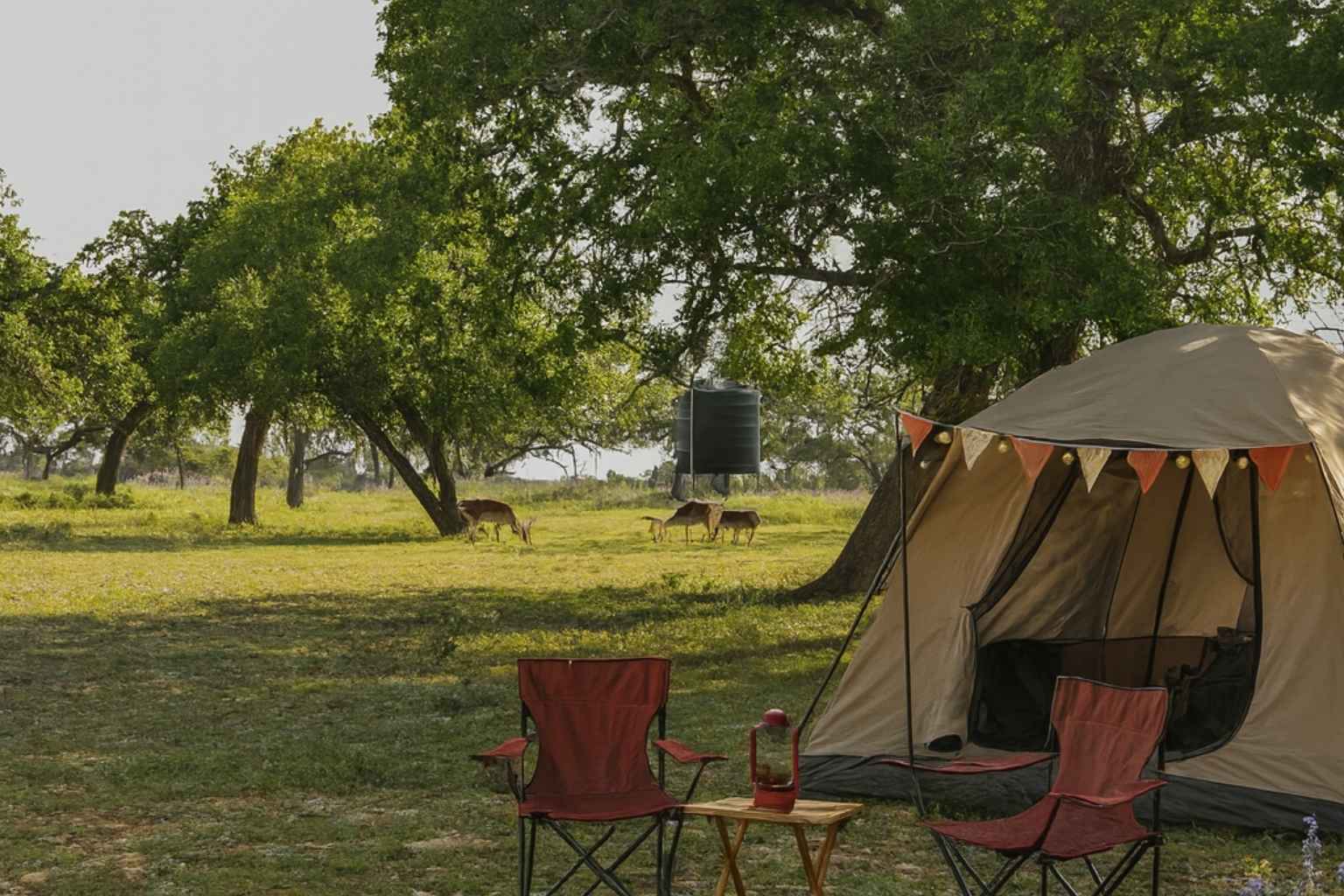 Best Hotels to Stay at with a Tent in Fredericksburg Texas