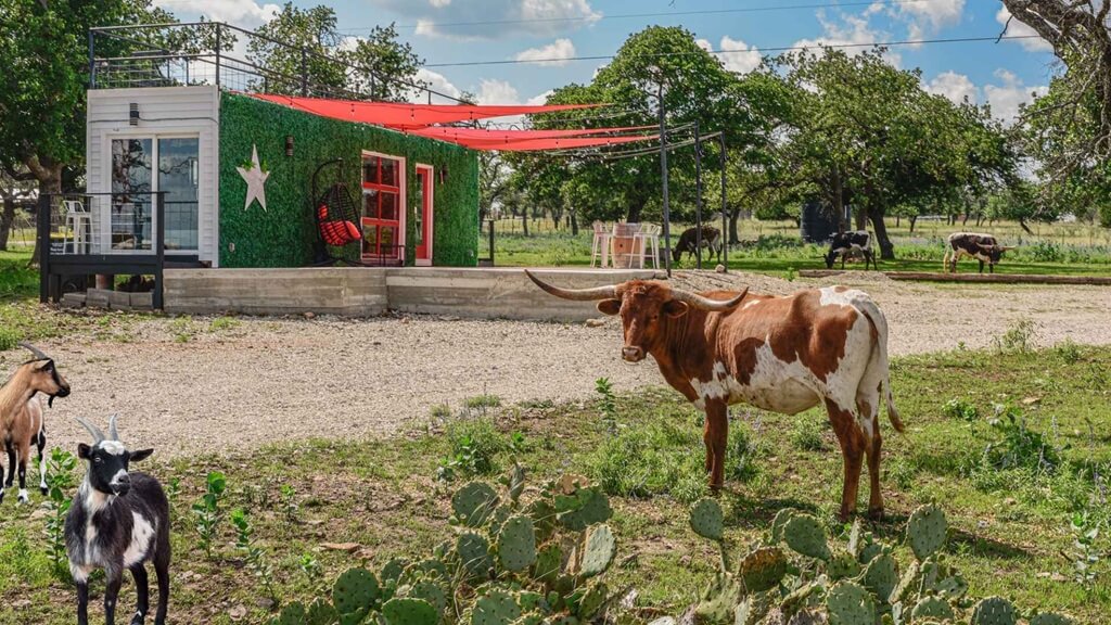 Best Places To Stay For The Bluegrass Festival At Luckenbach Texas