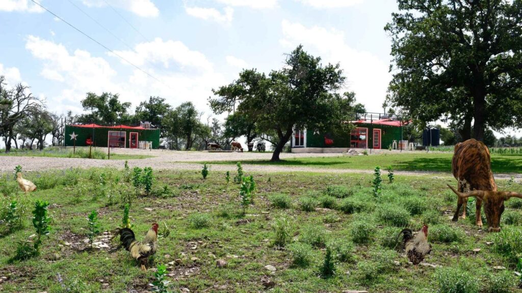 Best Places To Stay For The Blues Festival In Luckenbach Texas
