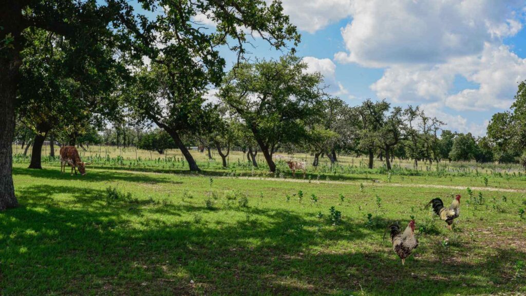 Best Places To Stay For The Motorcycle Rally In Hill Country