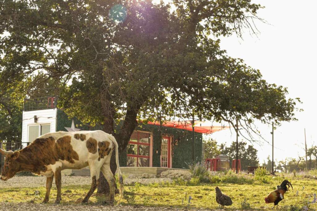 Best Places To Stay For The Trade Days In Fredericksburg Texas