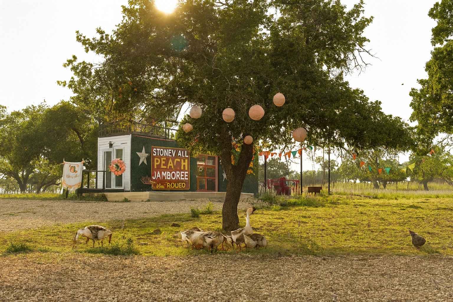 Best Vacation Rentals To Stay At For Stonewall Peach JAMboree And Rodeo