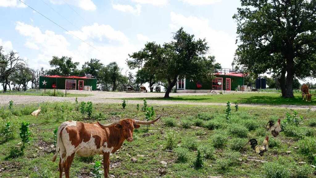 Best Vacation Rentals to Stay at for the Craft Beer Festival in Fredericksburg Texas