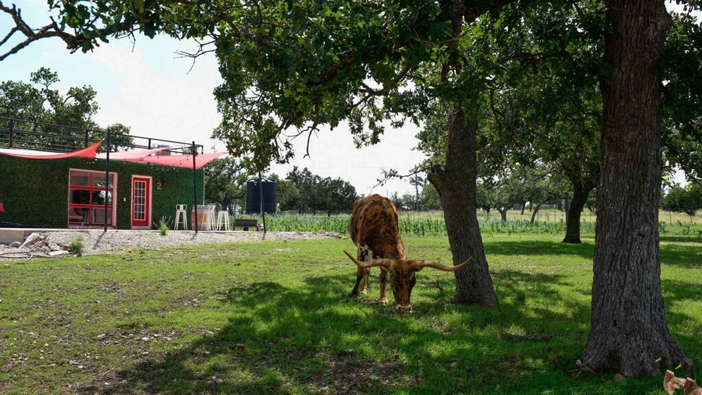 Best Places To Stay For The Texas Mesquite Arts Festival In Fredericksburg Best Vacation Rentals to Stay at for the Texas Mesquite Arts Festival in Fredericksburg