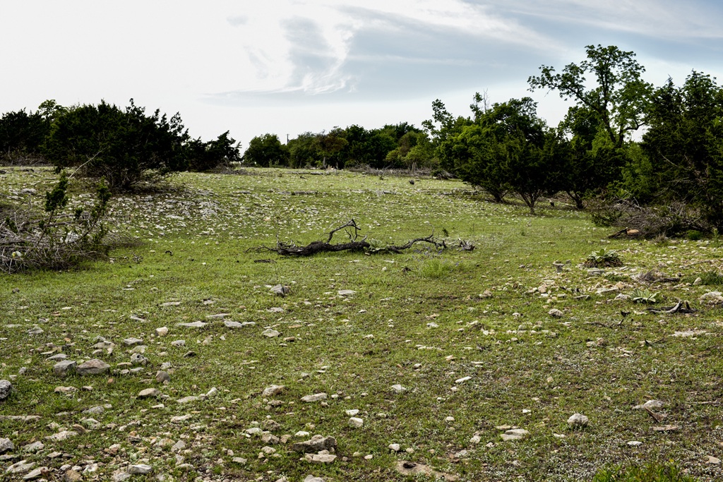 Best Vacation Rentals to Stay at with Kids in Fredericksburg Texas