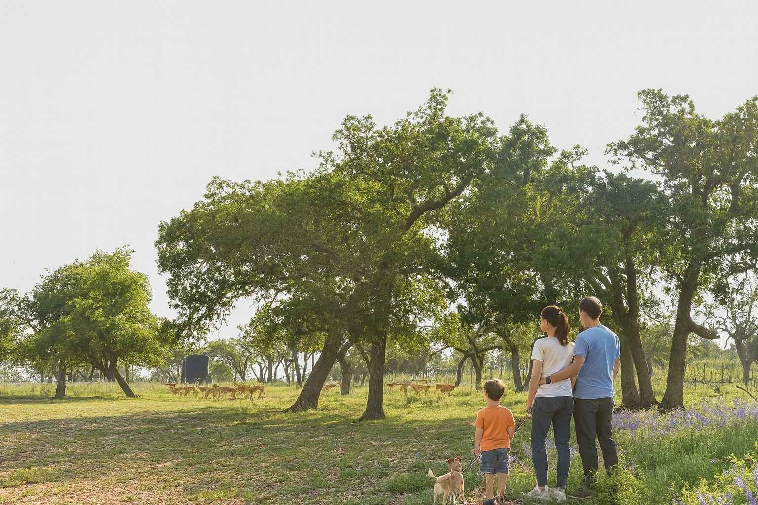Best Vacation Rentals to Stay at with Pets in Fredericksburg Texas