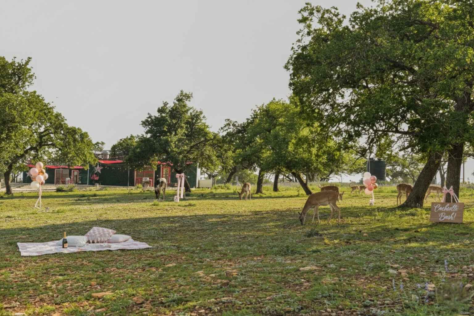Top Bed And Breakfasts To Stay At For Bachelorette Parties In Fredericksburg TX
