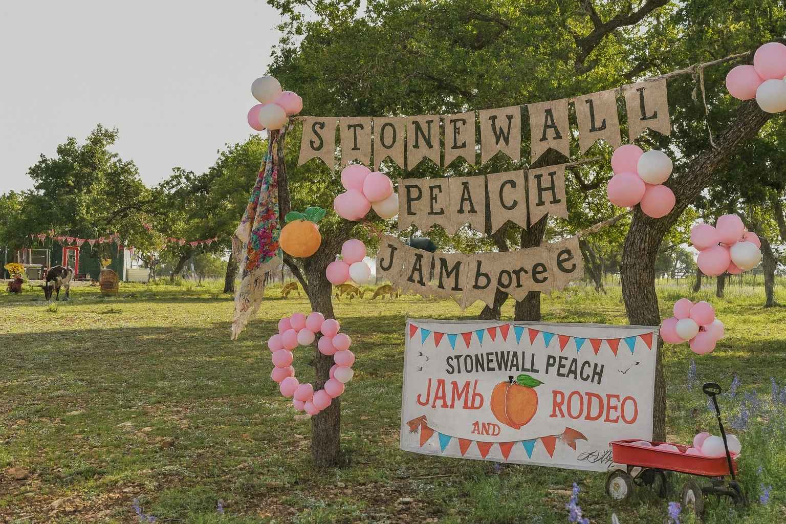 Top Bed And Breakfasts To Stay At For Stonewall Peach JAMboree And Rodeo