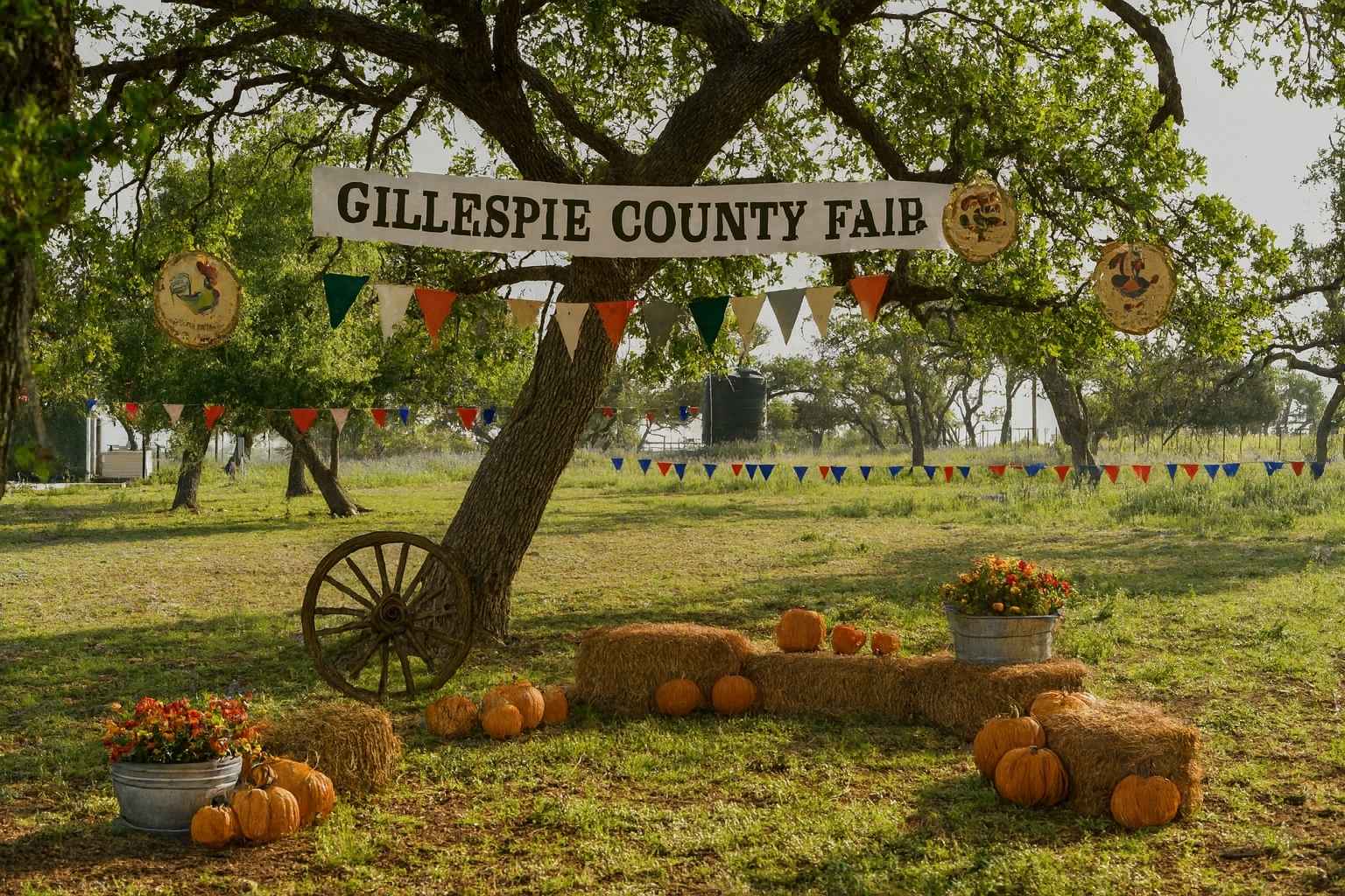 Top Bed and Breakfasts to Stay at for Gillespie County Fair