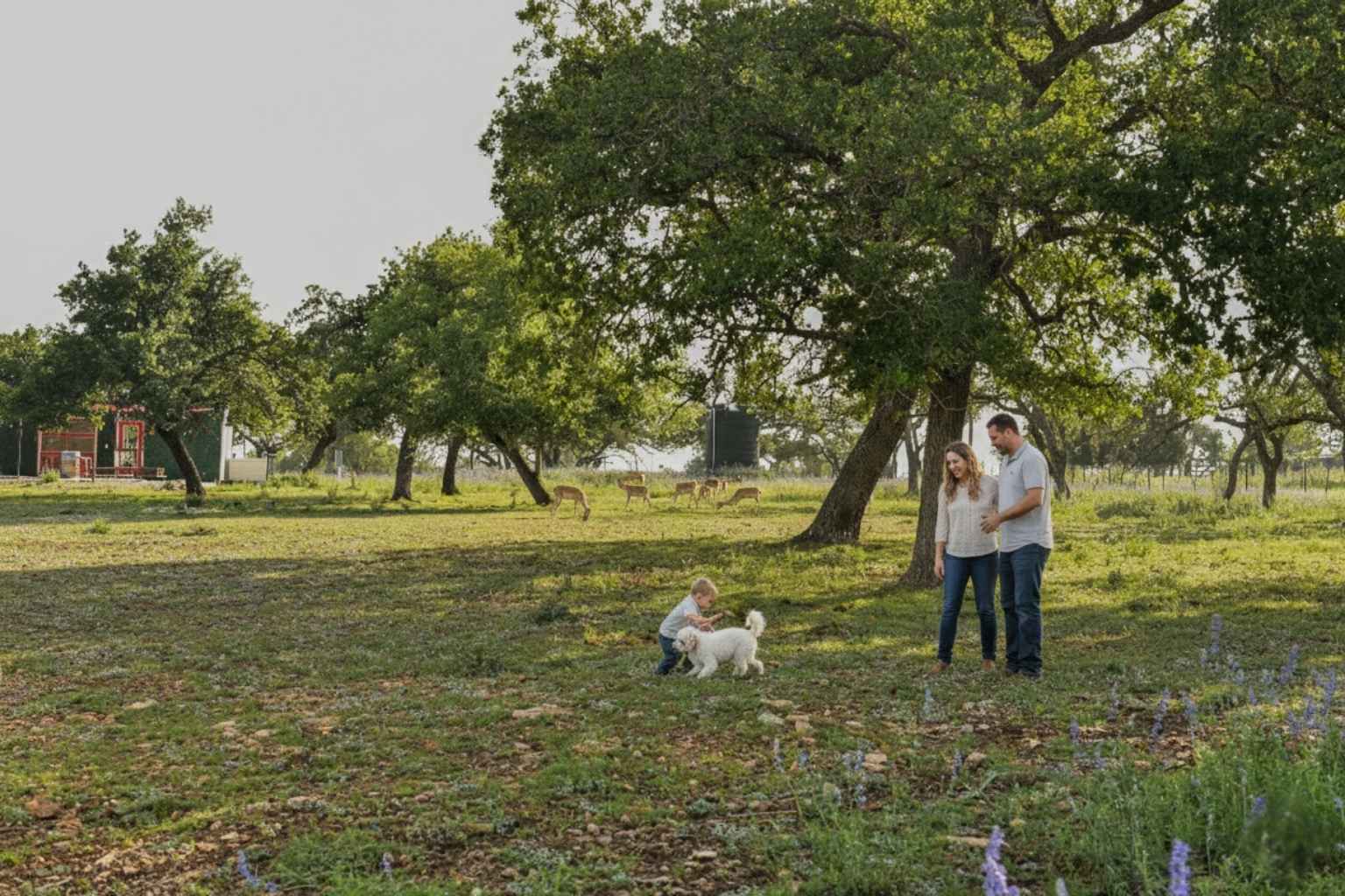 Top Bed and Breakfasts to Stay at with Pets in Fredericksburg Tx