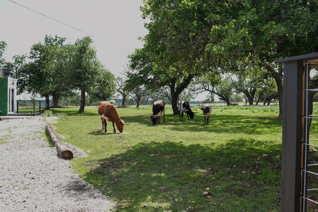Top Places To Stay For Birthdays In Fredericksburg Texas Top Hotels to Stay at for Birthdays in Fredericksburg Texas