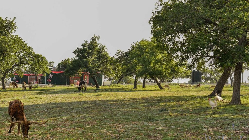 best vacation rentals to stay at for the knights of columbus bestfest in fredericksburg texas