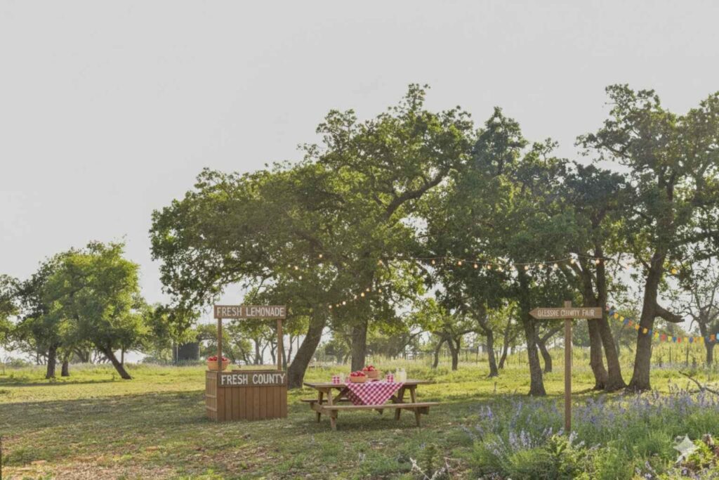 Best Airbnb To Stay At For Gillespie County Fair In Fredericksburg Texas