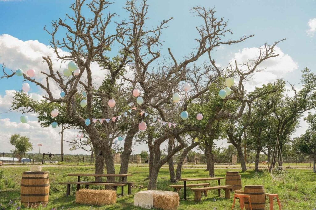 Best Airbnb To Stay At For Groups In Fredericksburg Texas