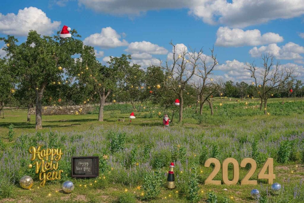 Best Airbnb To Stay At For New Year’s Eve In Fredericksburg Texas