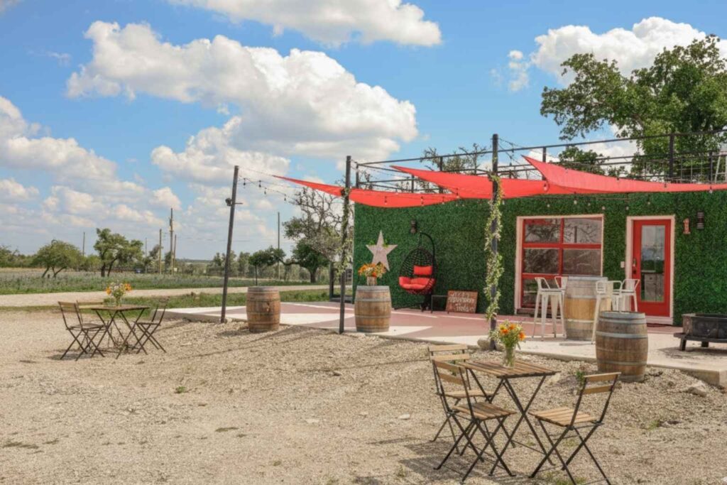 Best Airbnb To Stay At For Wildflowers In Fredericksburg Texas