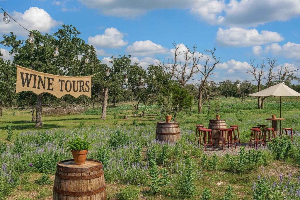 Best Airbnb To Stay At For Wine Tours In Fredericksburg Texas
