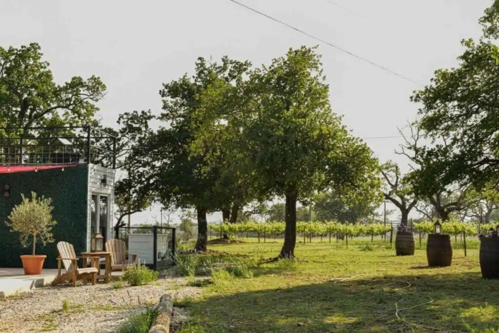 A serene outdoor seating area surrounded by trees and a vineyard.