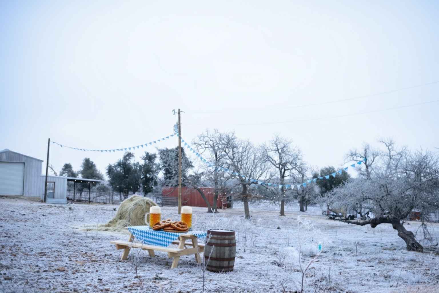 Best Airbnb To Stay At For Oktoberfest In Fredericksburg Texas Best Airbnbs To Stay At For Oktoberfest In Fredericksburg Texas