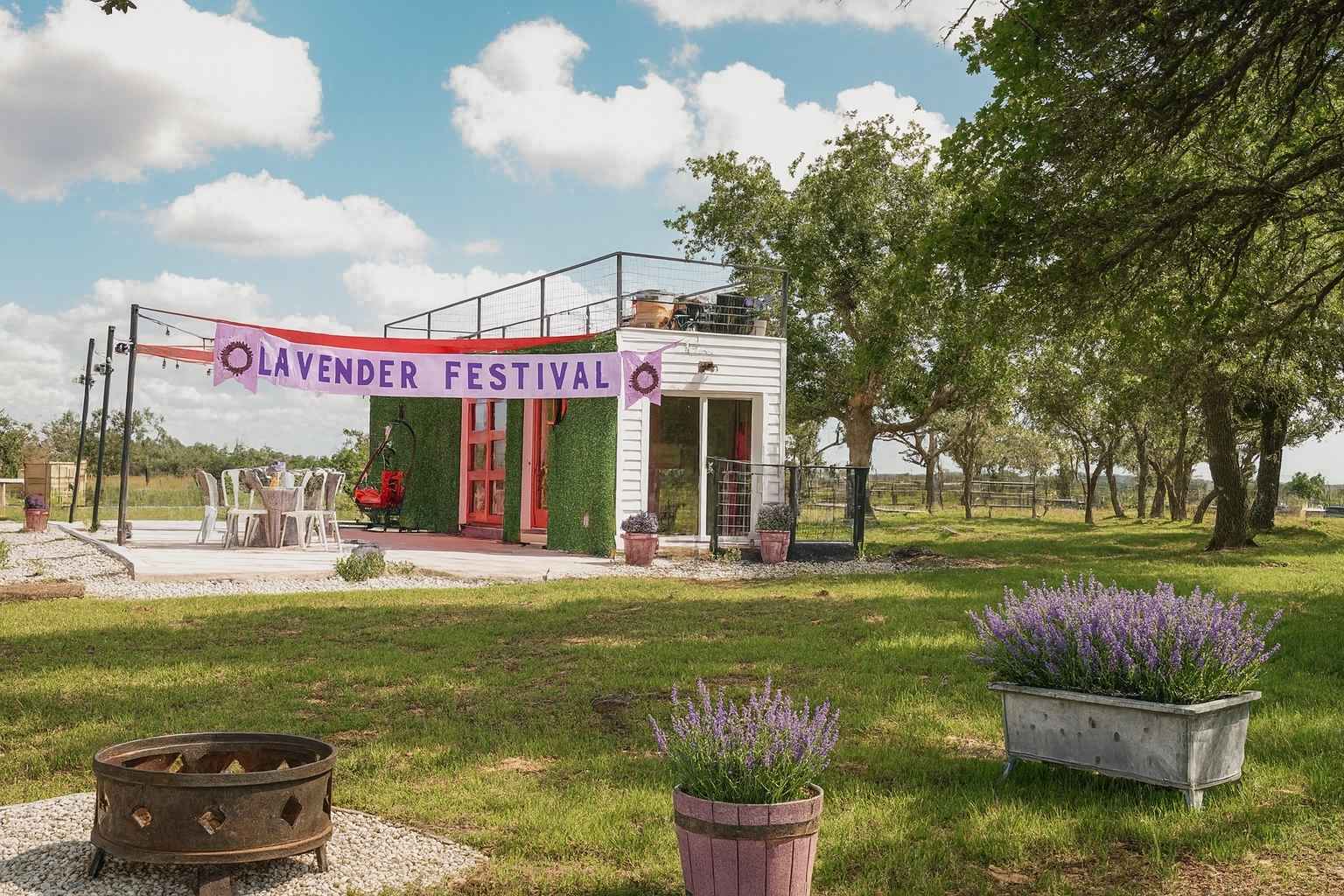 Best BNBs to Stay at for Lavender Festival