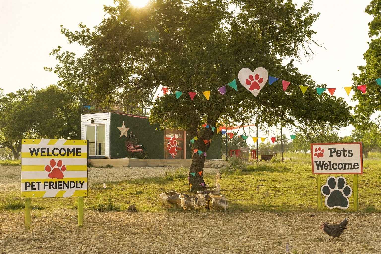 Best Airbnb To Stay At For Pets In Fredericksburg Texas Best Bed and Breakfasts to Stay at for Pets in Fredericksburg Texas