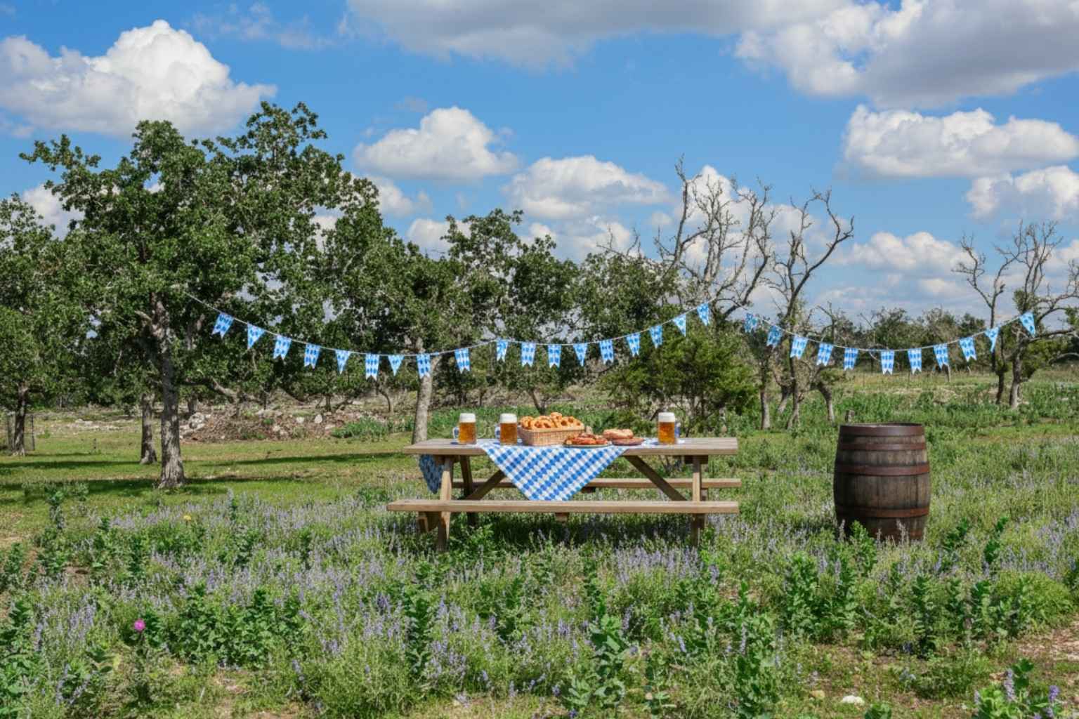 Best Airbnb To Stay At For Oktoberfest In Fredericksburg Texas Best Hotels To Stay At For Oktoberfest In Fredericksburg Texas