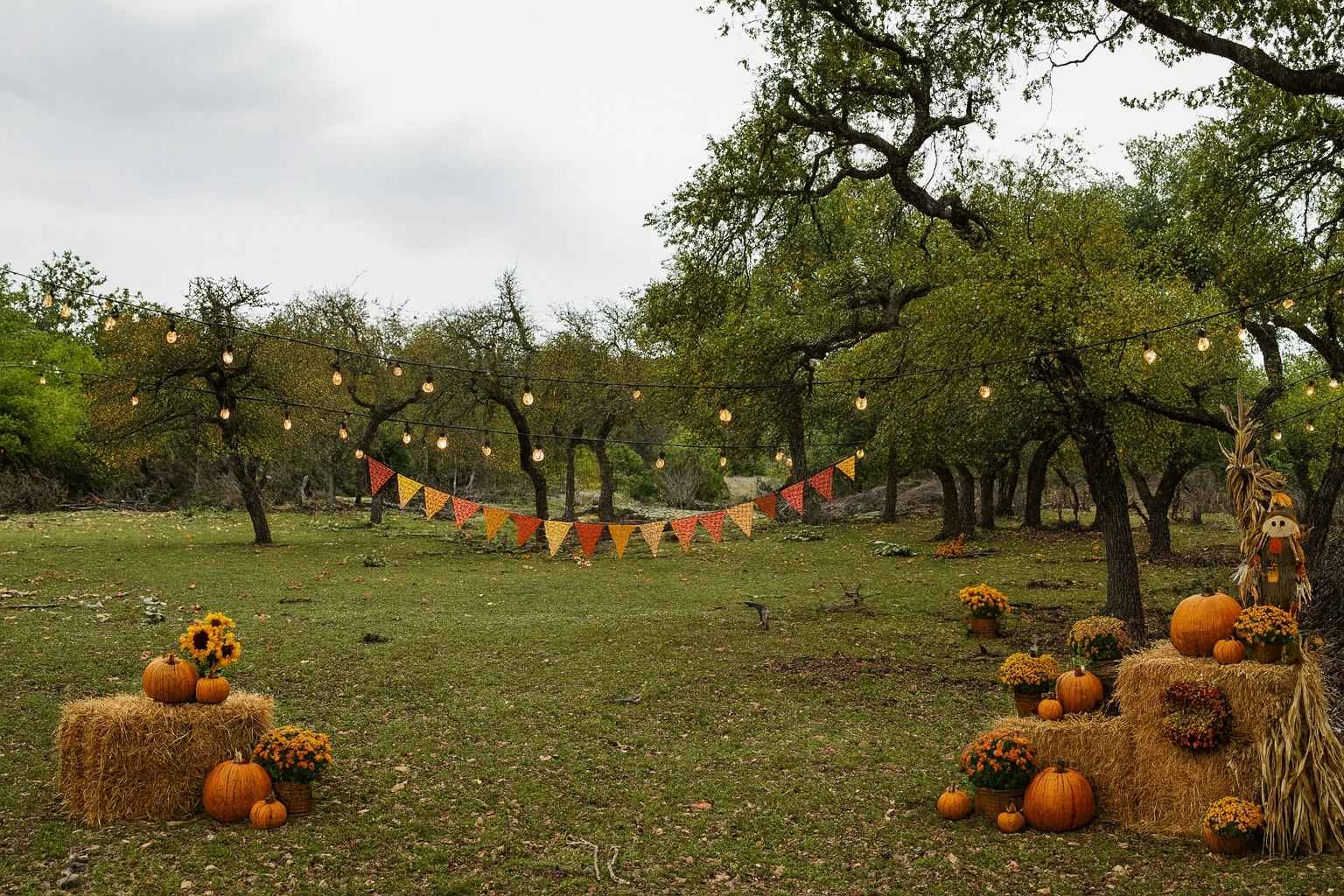 Best Hotels to Stay Near Main Street in Fredericksburg Texas