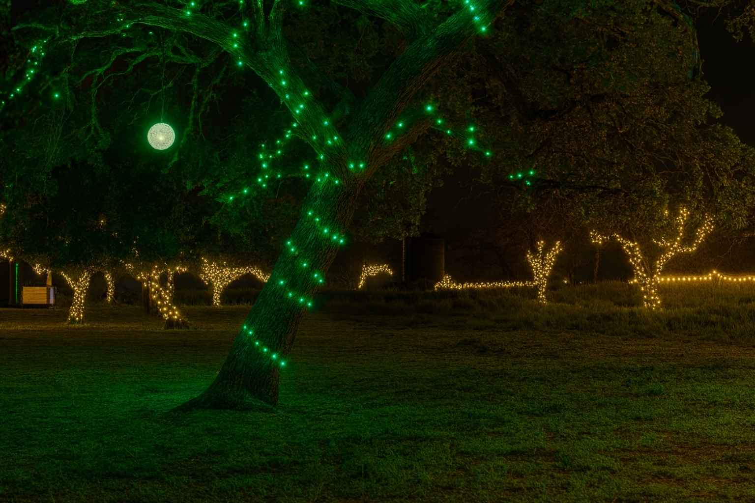 Best Vacation Rentals to Stay at for Christmas Nights of Lights