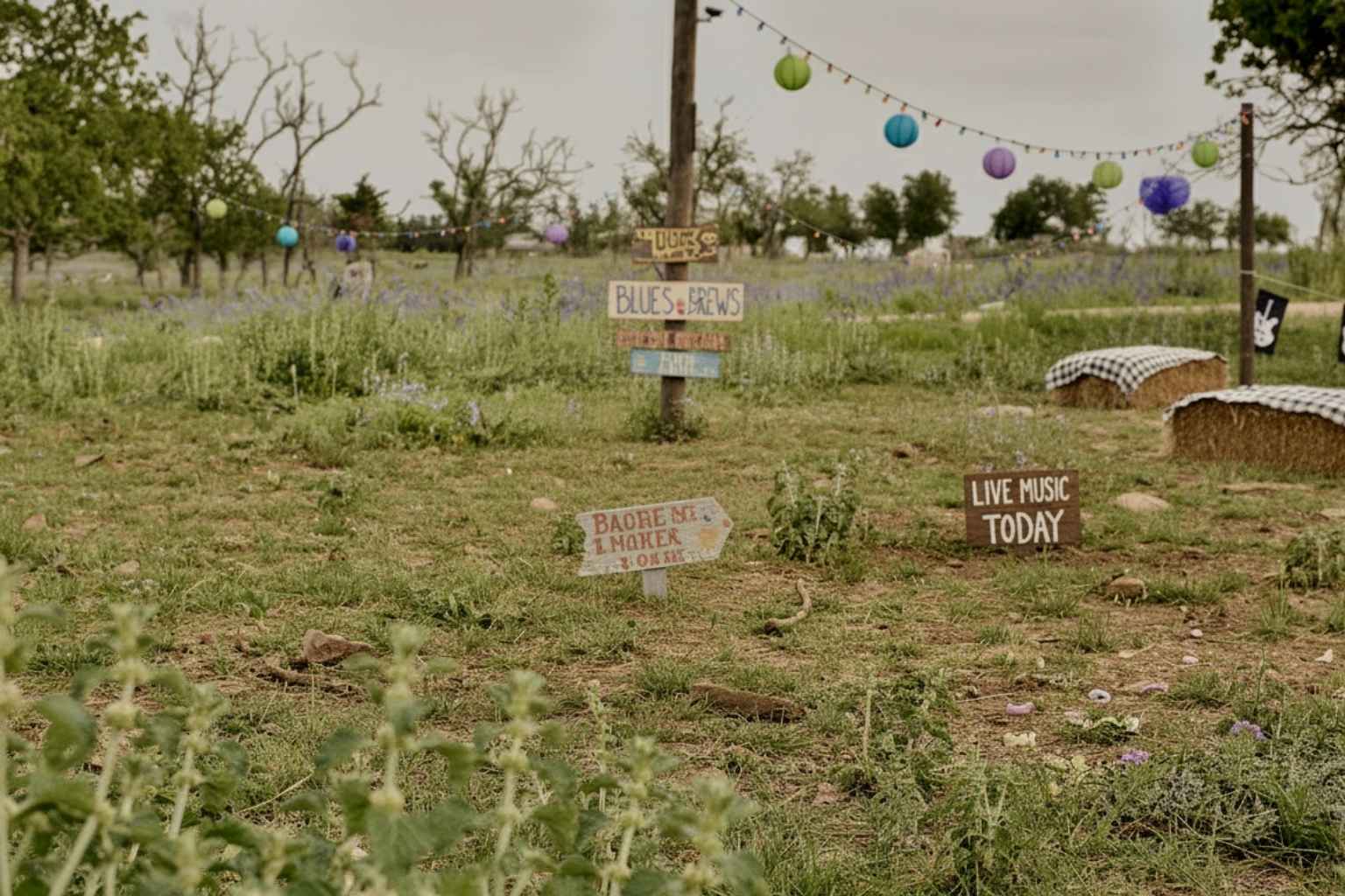 Best Vacation Rentals to Stay at for Luckenbach Texas Blues Festival