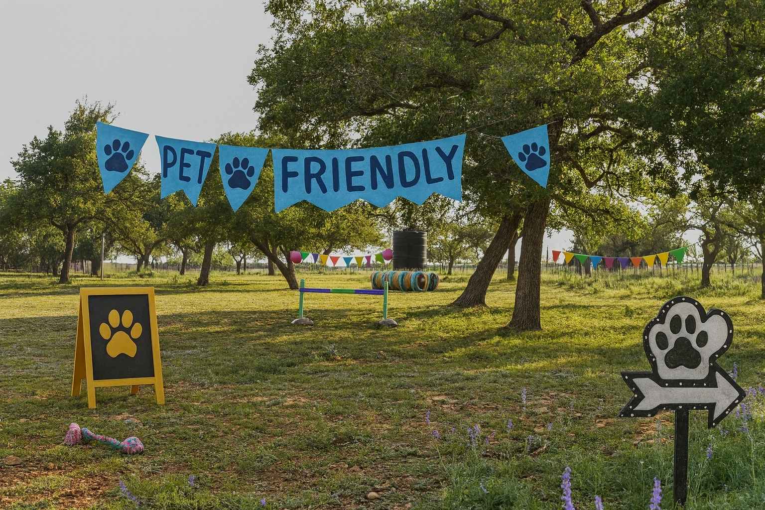 Best Airbnb To Stay At For Pets In Fredericksburg Texas Top Airbnbs to Stay at for Pets in Fredericksburg Texas