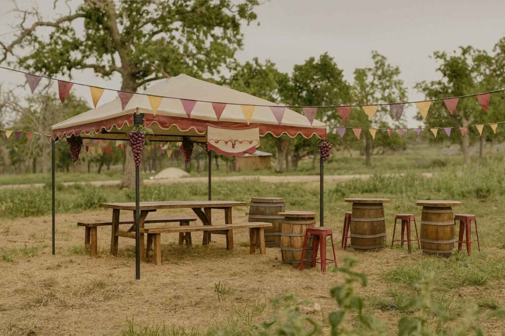 Best Airbnb To Stay At For Fredericksburg Food & Wine Festival