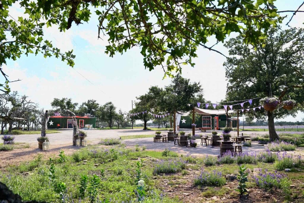 Best Airbnb To Stay At For Lavender Festival