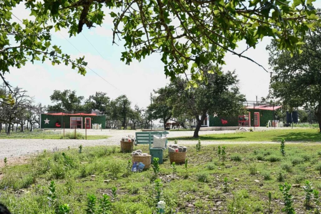 Best Airbnb To Stay At For Sightseeing In Fredericksburg Texas