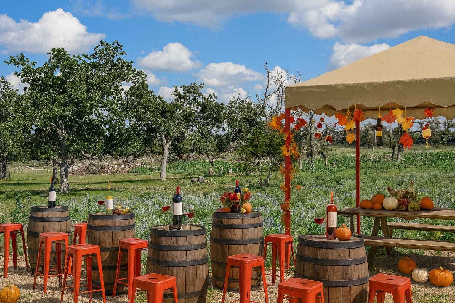 Best Airbnbs to Stay at for Fredericksburg Food & Wine Festival