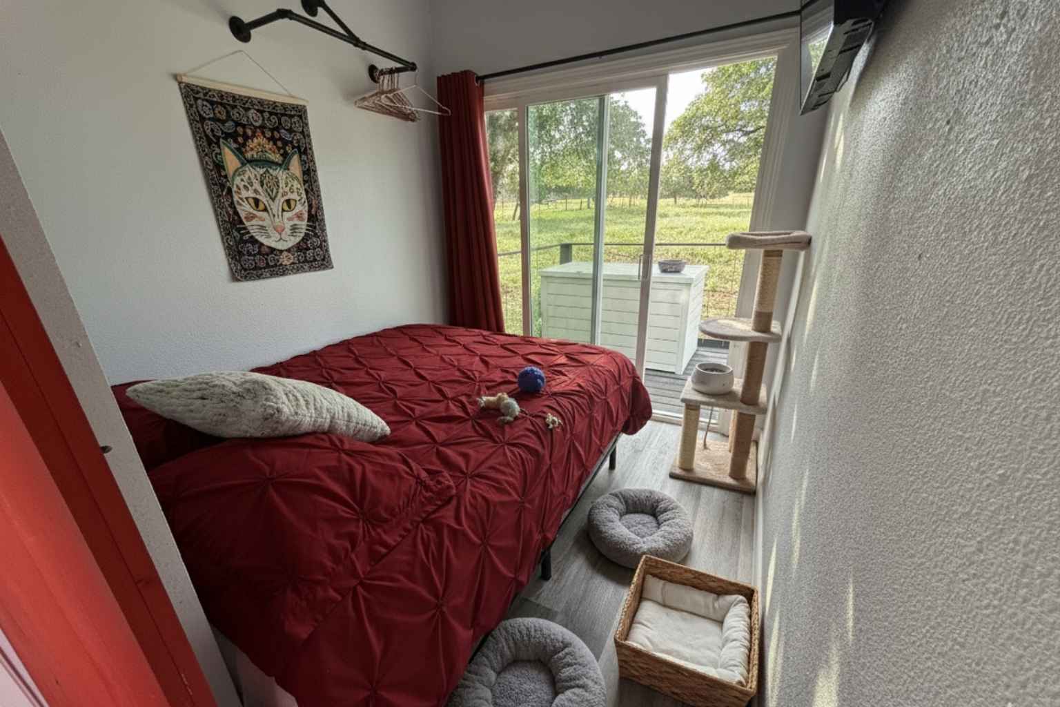 Best Airbnb To Stay At For Cats In Fredericksburg Texas Best Bed and Breakfasts to Stay at for Cats in Fredericksburg Texas