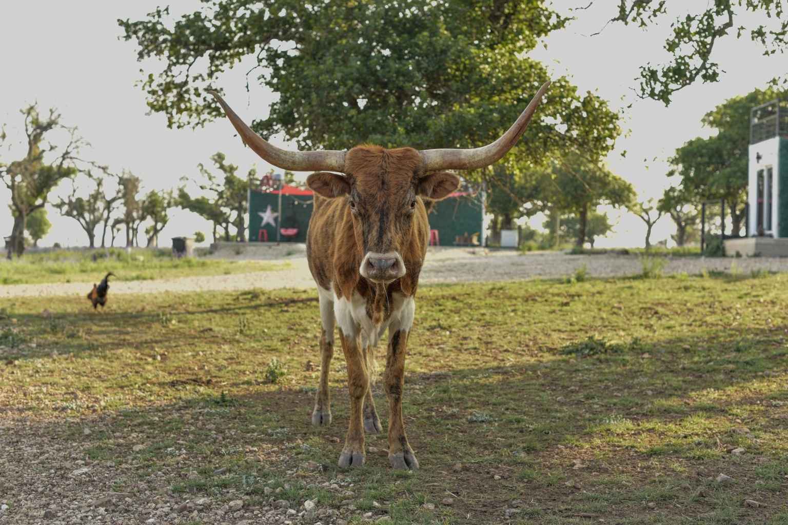 Best Bed and Breakfasts to Stay at for Harper Frontier Days Rodeo and Dance