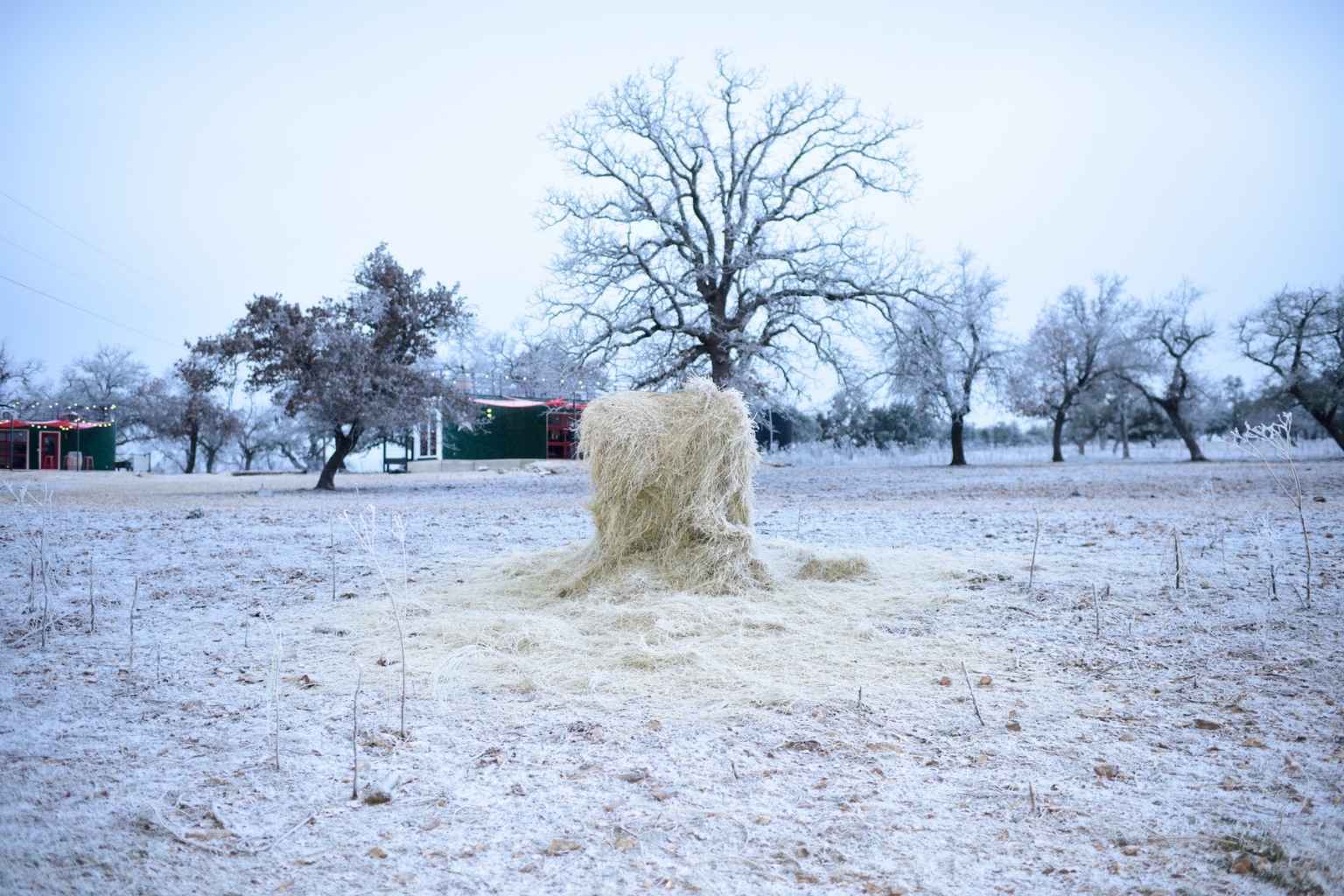 Best Bed and Breakfasts to Stay at for Hill Country Run Motorcycle Rally