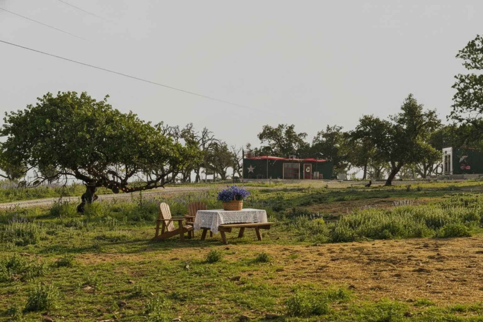 Best Airbnb To Stay At For Bluebonnets In Fredericksburg Texas Best Hotels to Stay at for Bluebonnets in Fredericksburg Texas