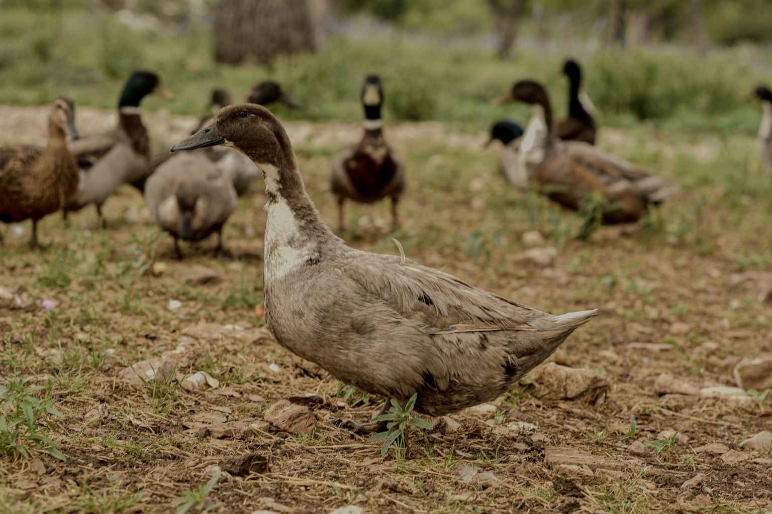 Best Hotels to Stay at for Fredericksburg Craft Beer Festival