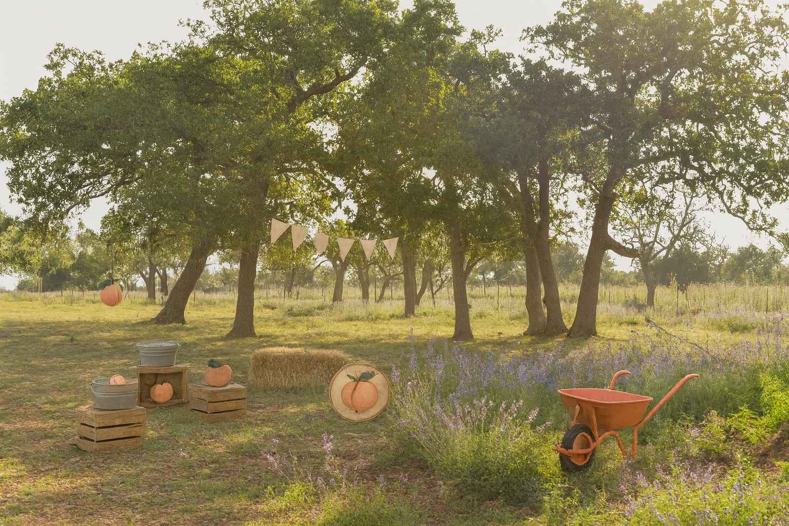 Best Hotels to Stay at for Stonewall Peach JAMboree and Rodeo