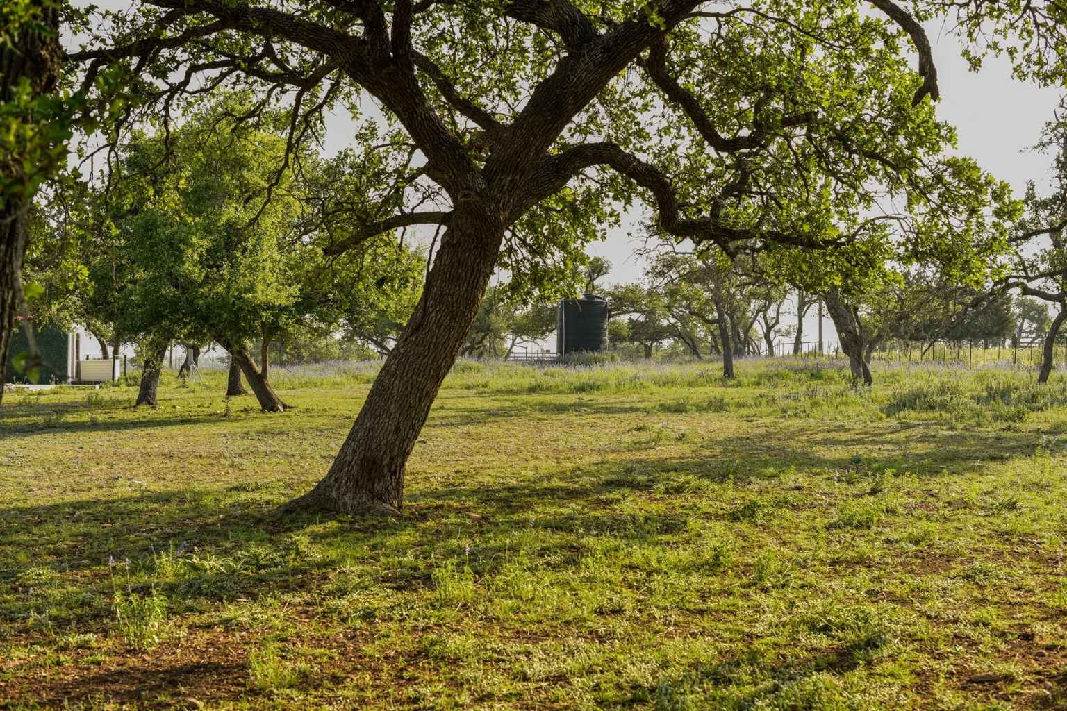 Best Vacation Rentals To Stay At For Hill Country Film Festival