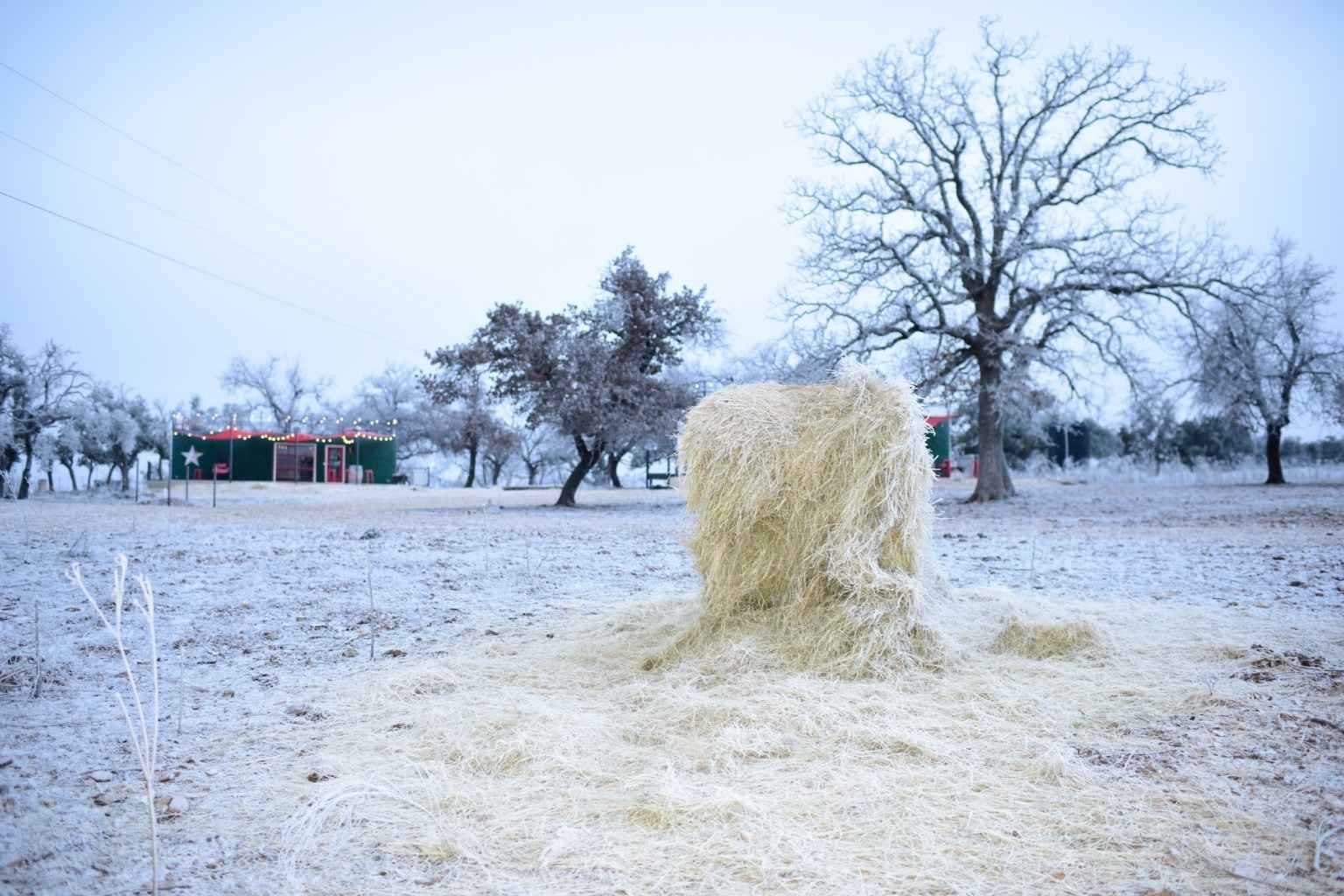 Best Vacation Rentals to Stay at for Knights of Columbus Bestfest