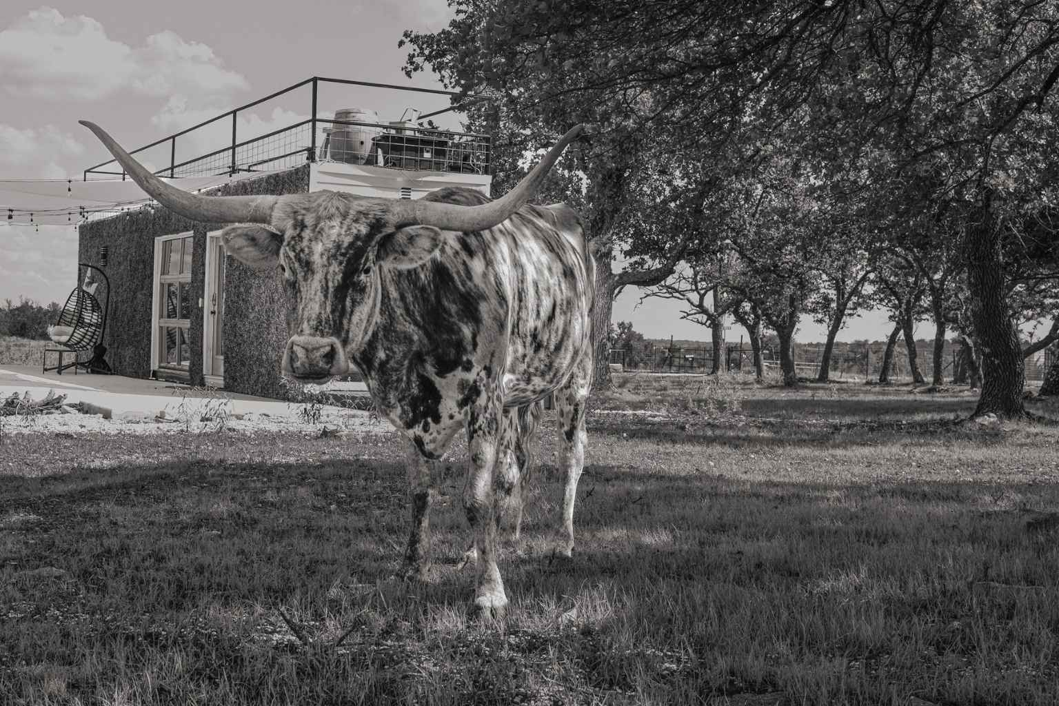 Best Vacation Rentals to Stay at for Luckenbach Texas Blues Festival