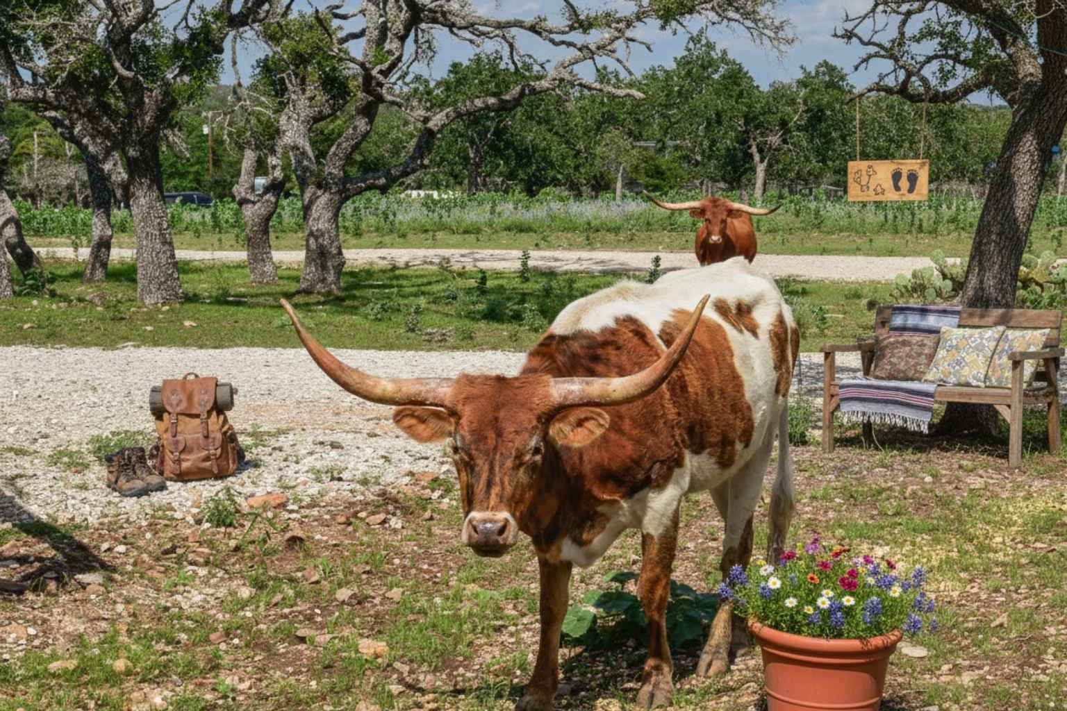 Best Vacation Rentals to Stay at for Sightseeing in Fredericksburg Texas