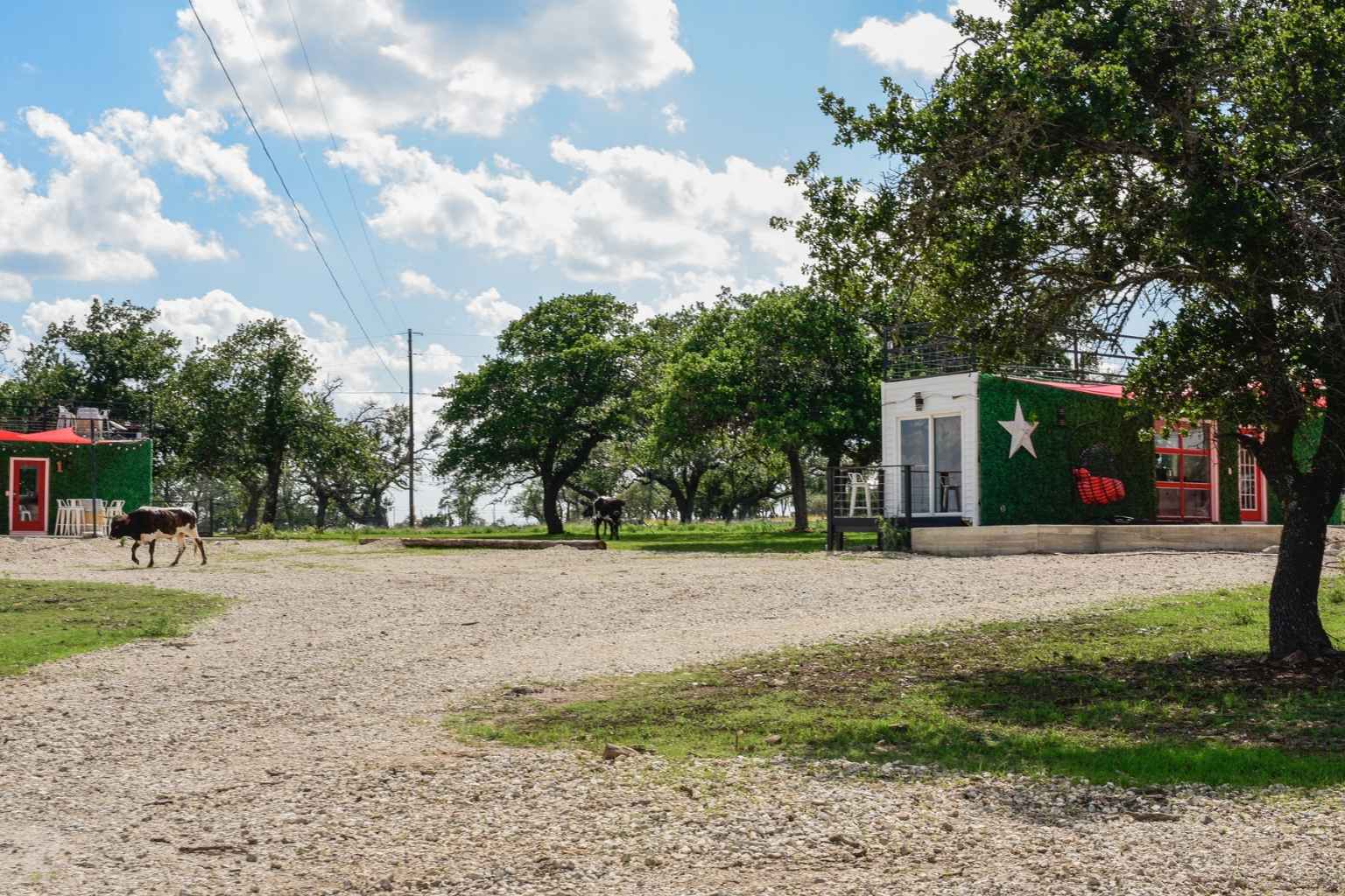 Top Airbnbs to Stay at for Fredericksburg Crawfish Festival