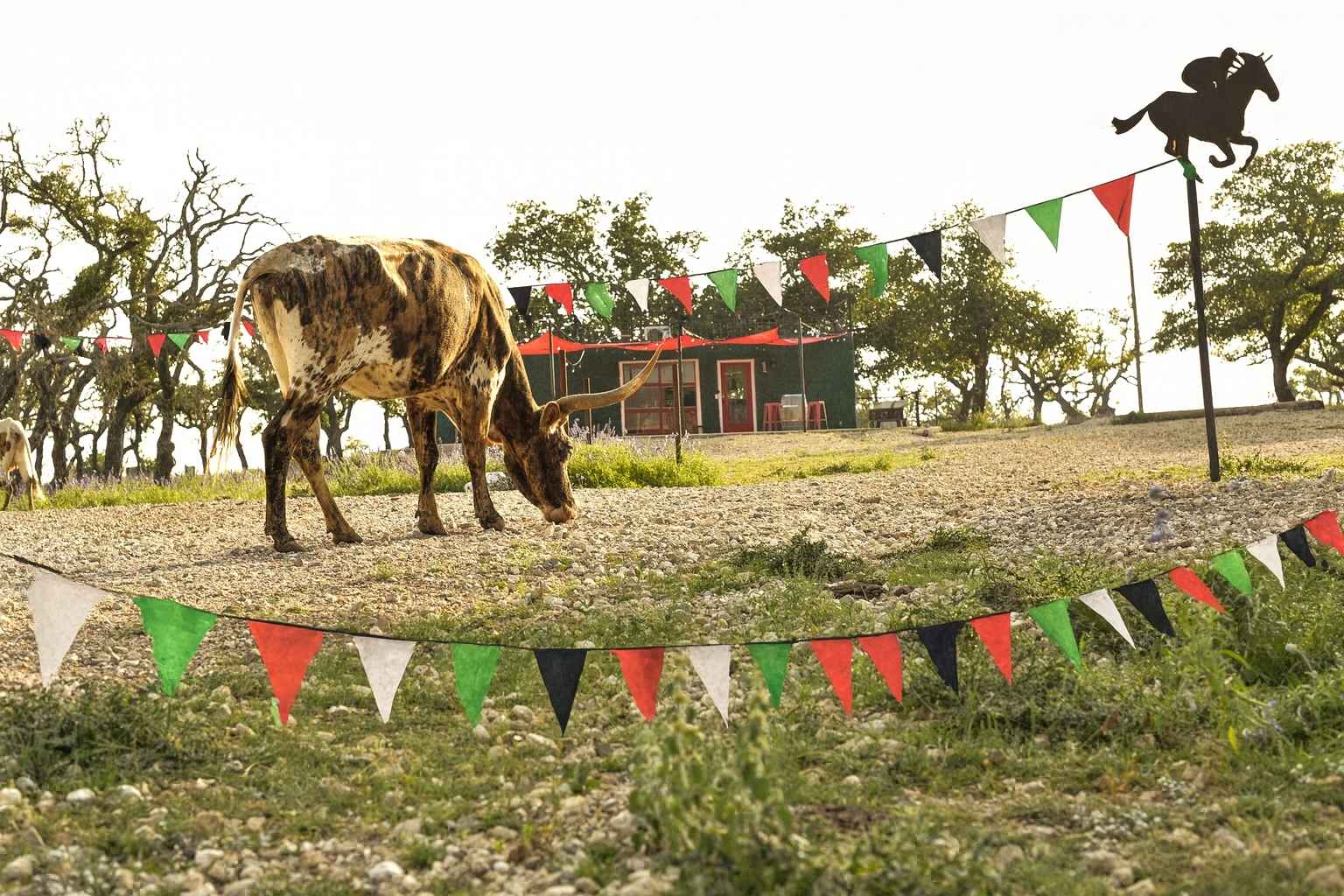 Best Airbnb To Stay At For Live Pari-mutuel Horse Racing best hotels to stay at for live pari-mutuel horse racing