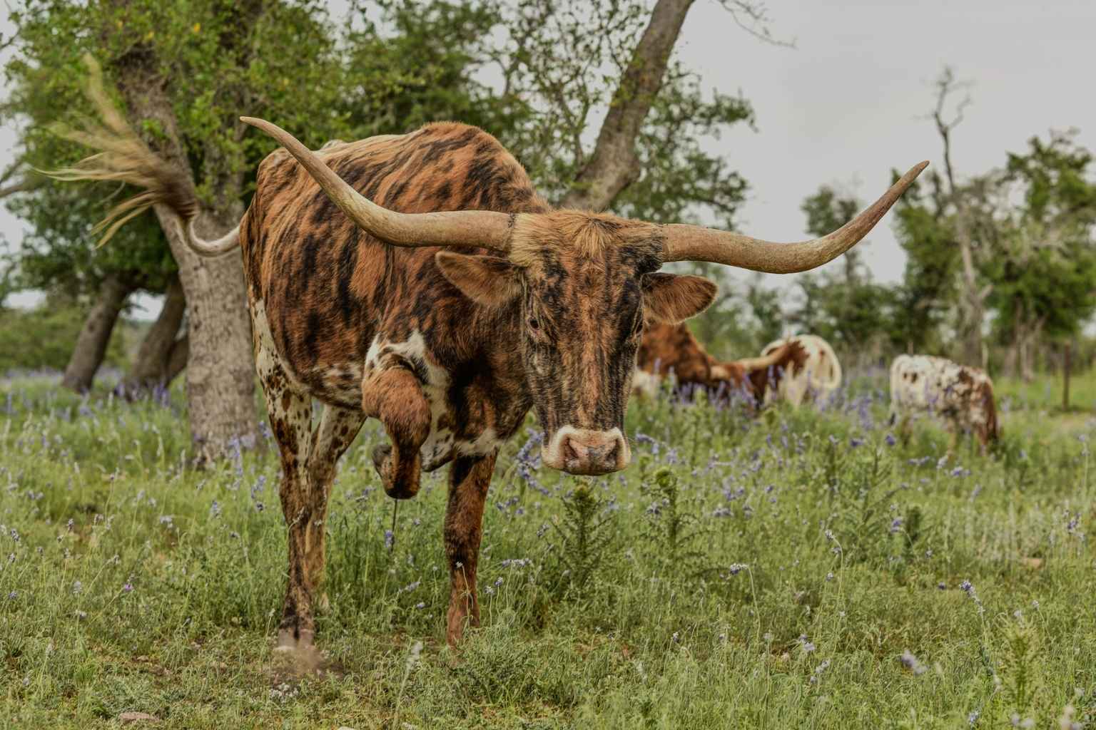 Best Airbnb To Stay At For Doss Fish Fry best vacation rentals to stay at for doss fish fry