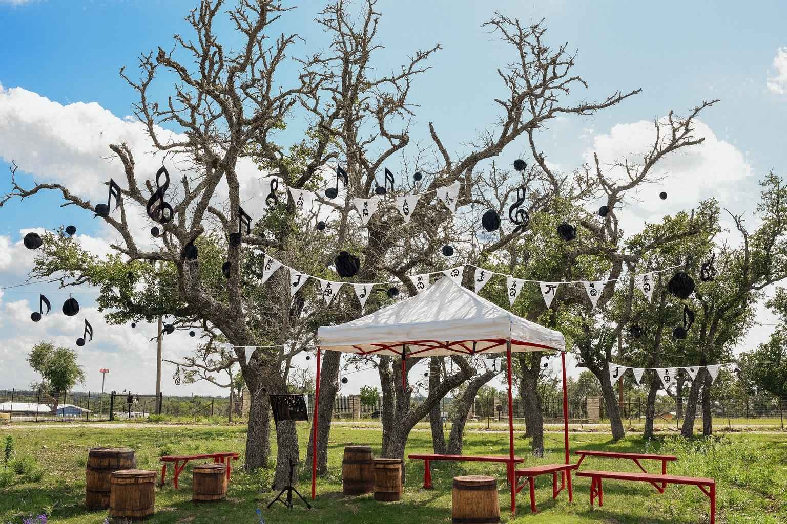 Best Airbnb To Stay At For Fredericksburg Music Club top airbnbs to stay at for fredericksburg music club