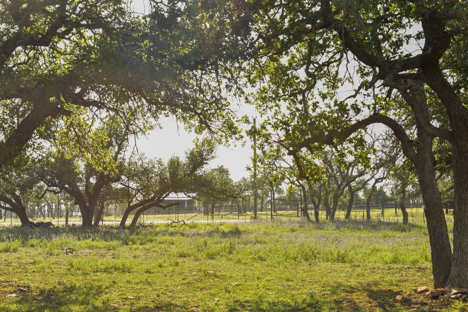 Top Airbnbs to Stay at for Fredericksburg Farmers Market