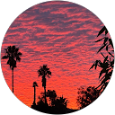 Esther Avery profile picture